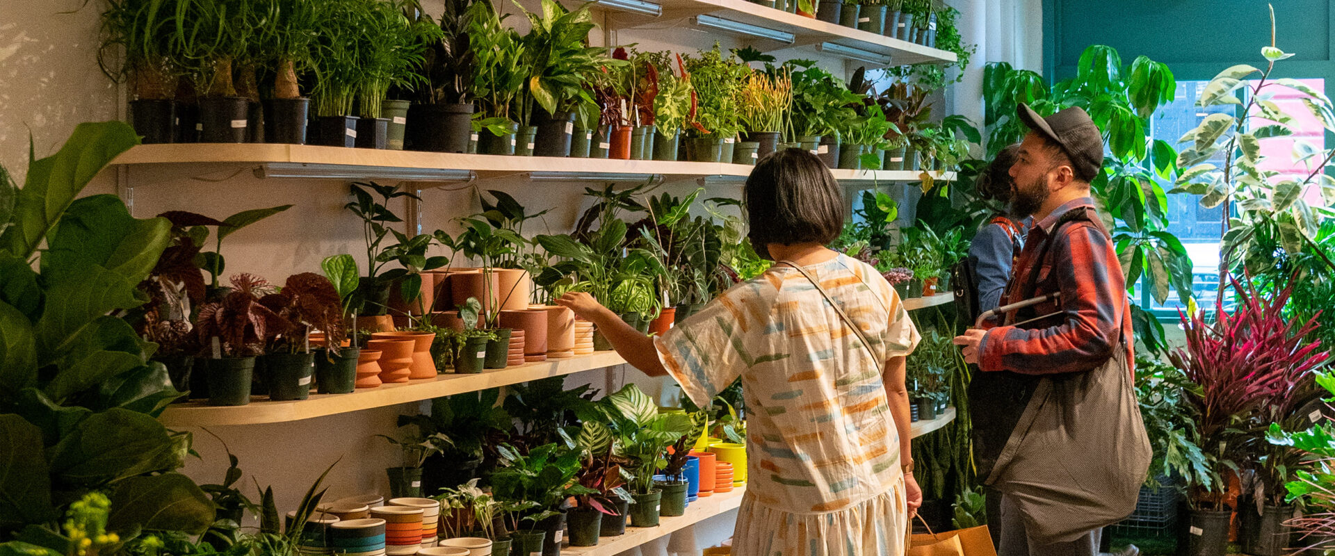 People are shopping in a plant store.