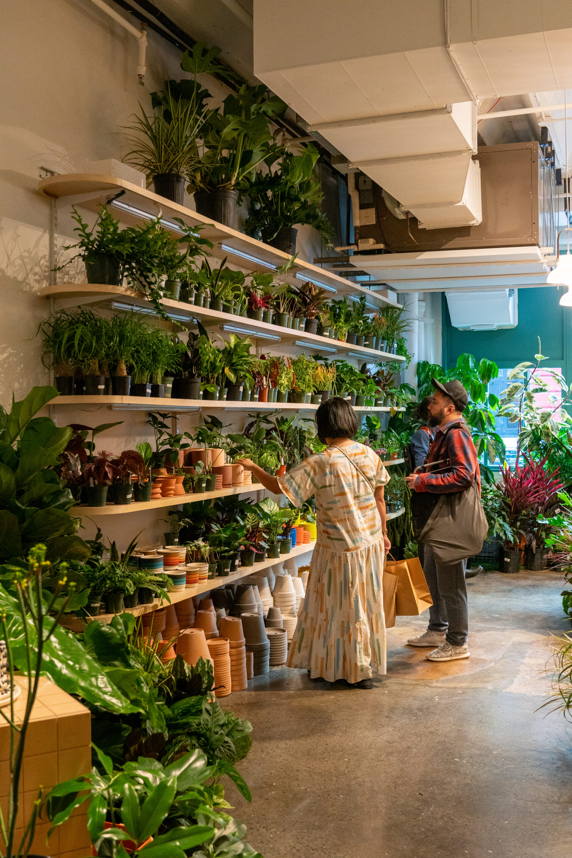 People are shopping in a plant store.
