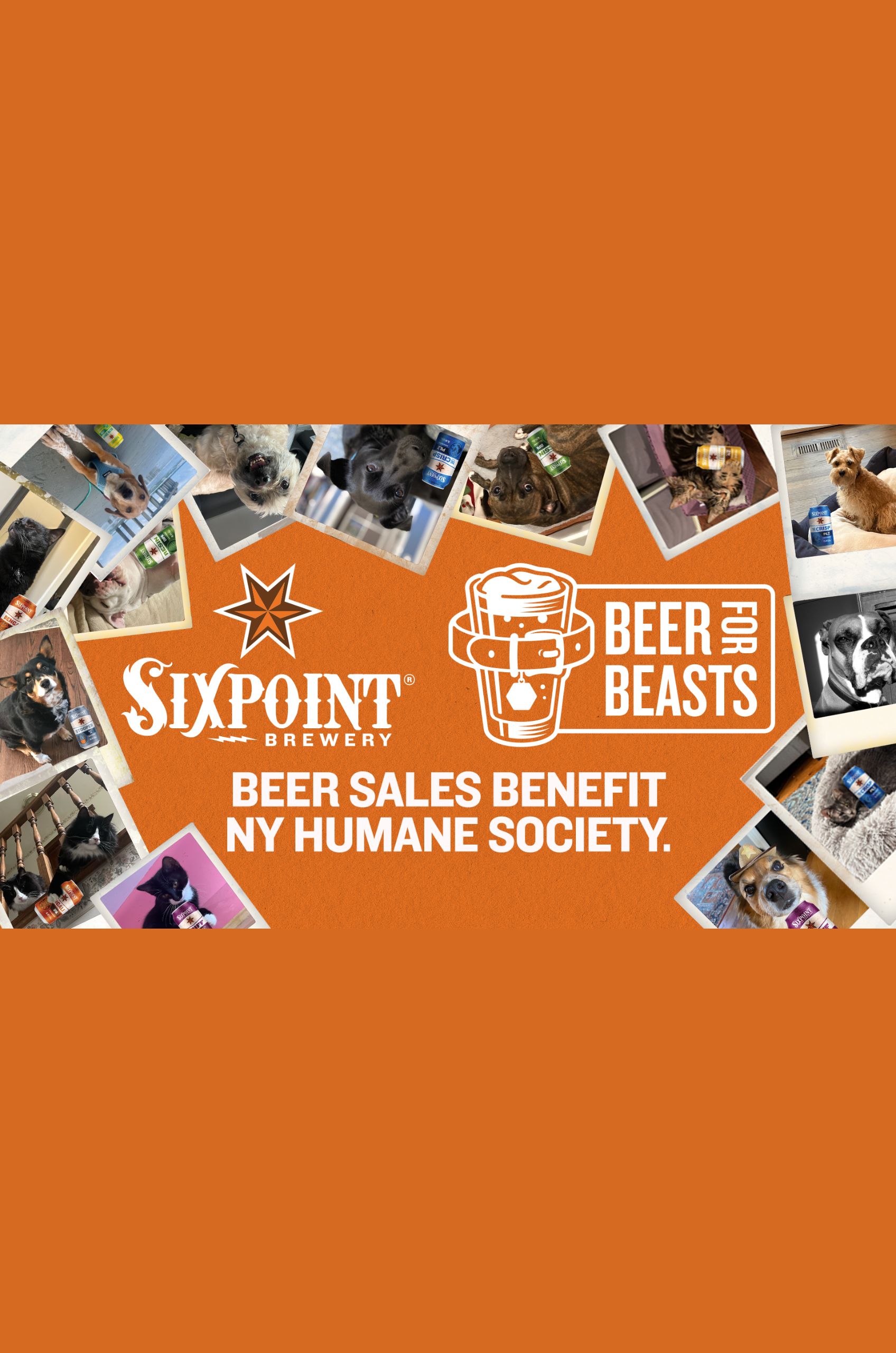 Sixpoint Brewery At Brookfield Place - 2n2rdb9