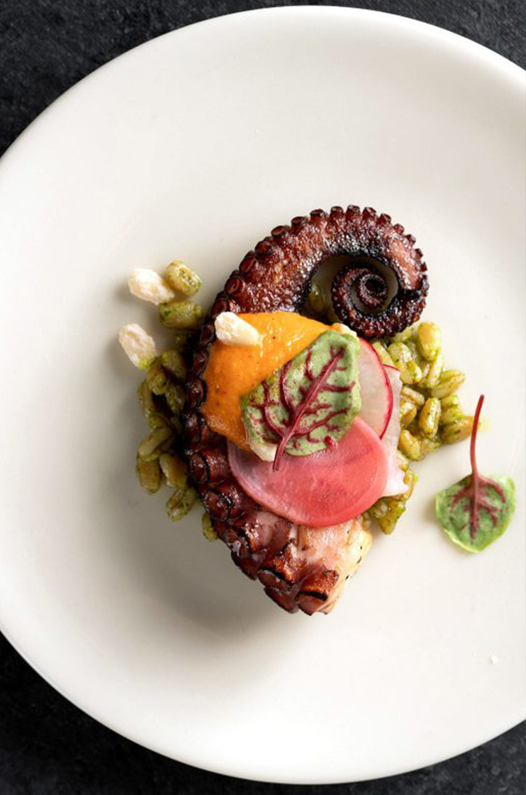 A white plate with grilled octopus and garnishes.